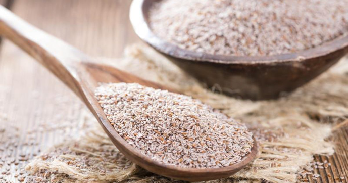 psyllium