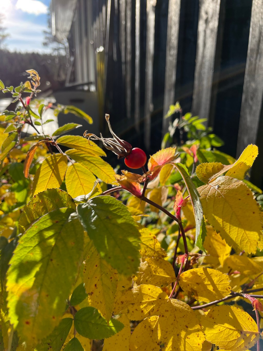 Vill du hitta orsaken till att du inte mår&nbsp;bra?